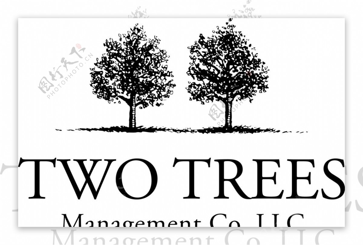twotrees公司