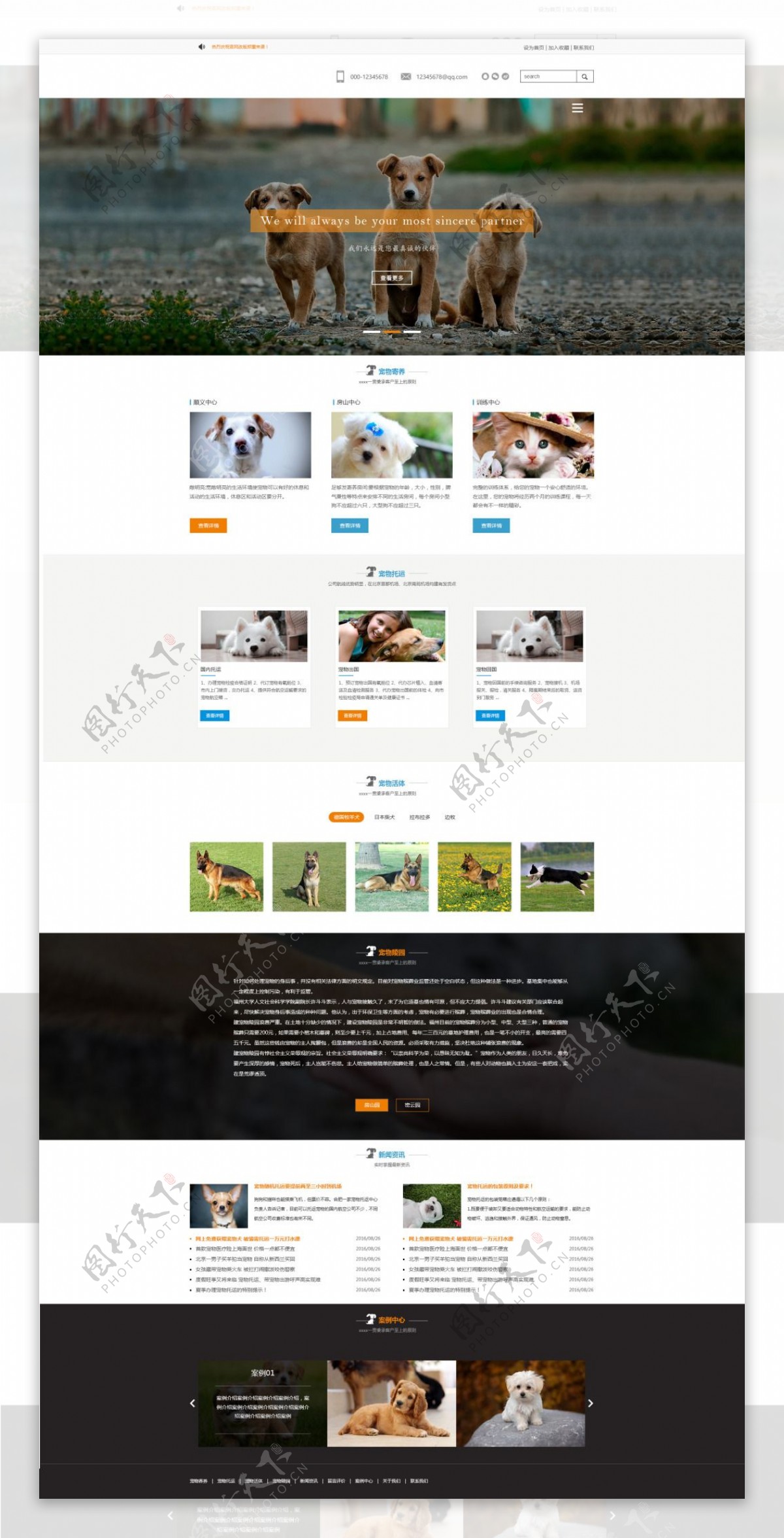 宠物网页设计模板
