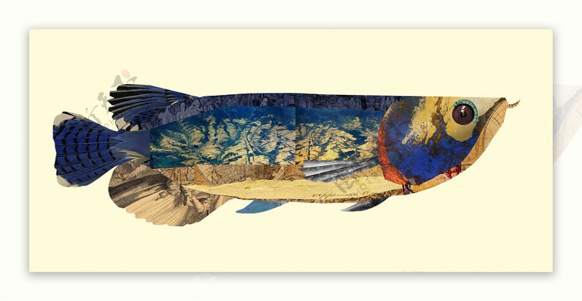 金龙鱼装饰画