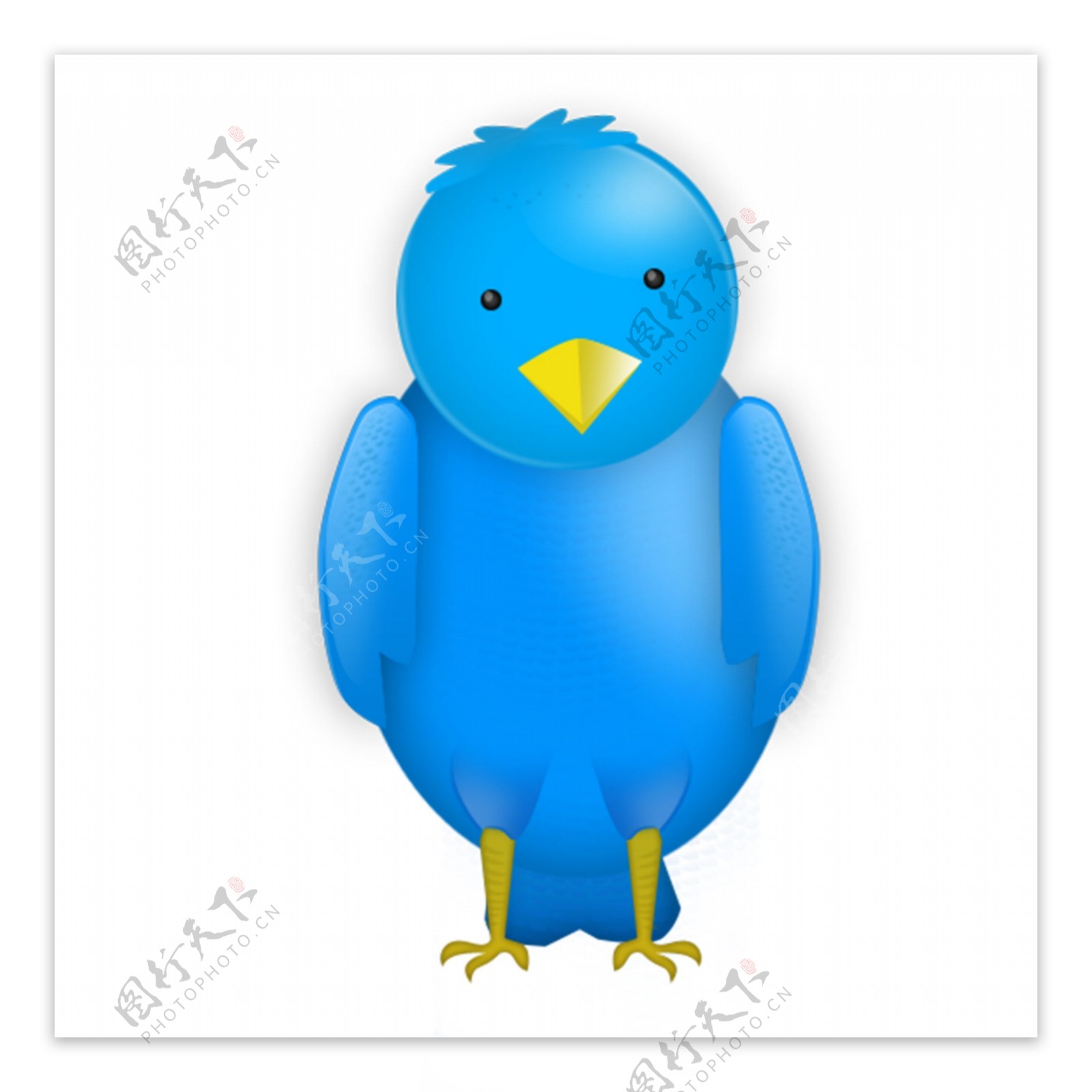 漂亮的蓝色小鸟icon图标设计