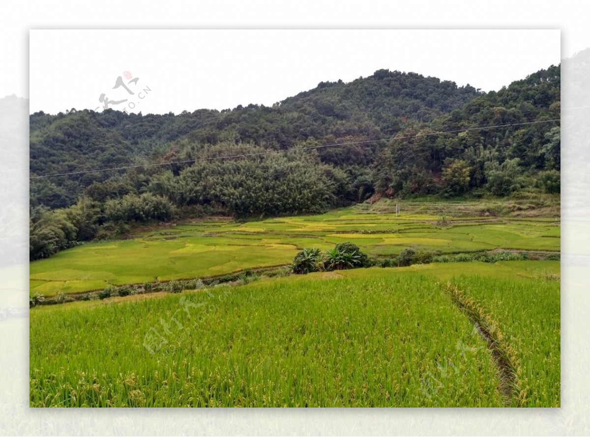 山川田野