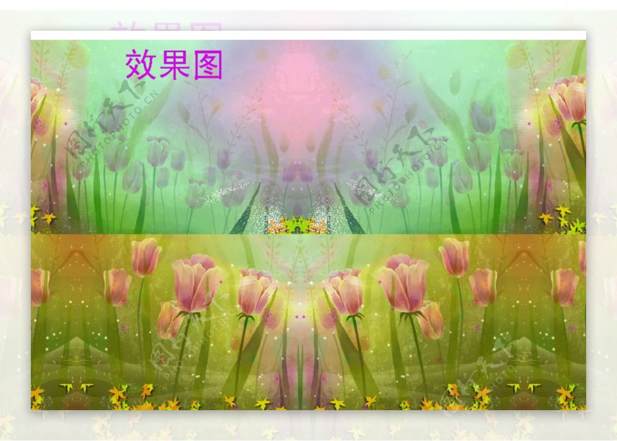 郁金香花朵视频背景