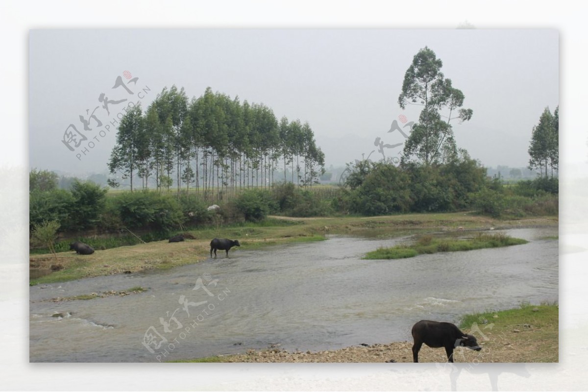 小凉河风光