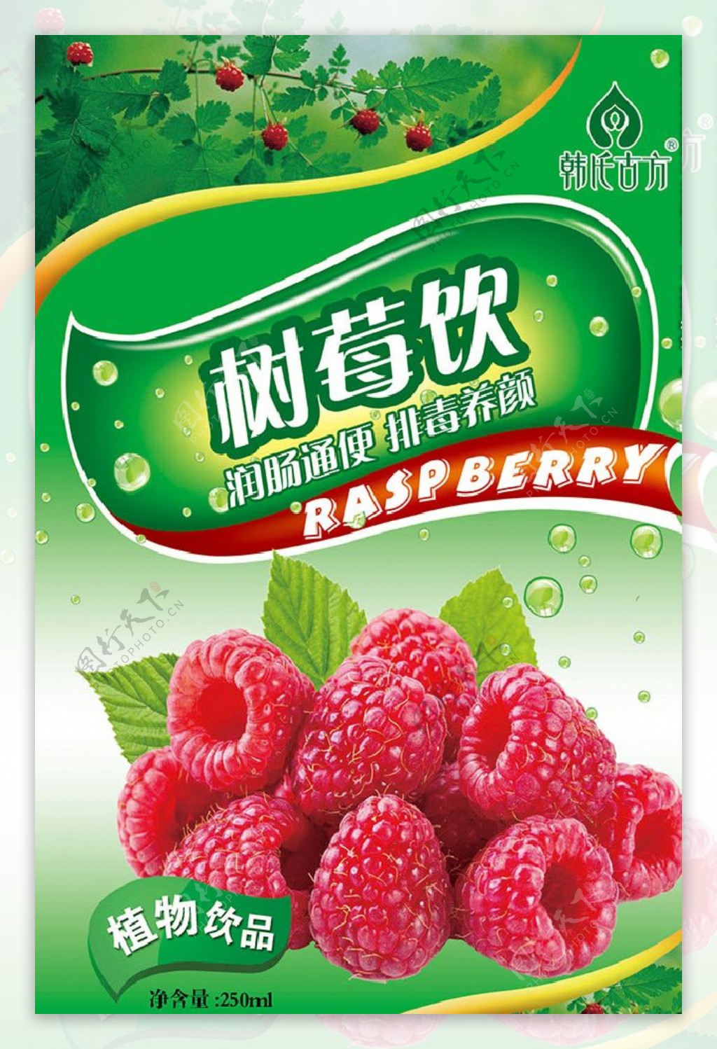 树莓饮植物饮品包装设计