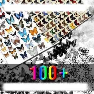 100个蝴蝶笔刷