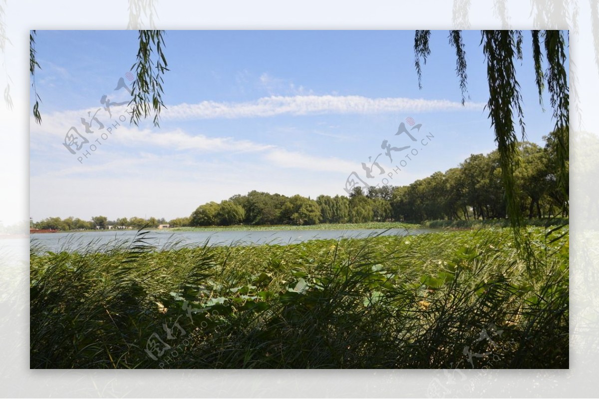 湖水风景