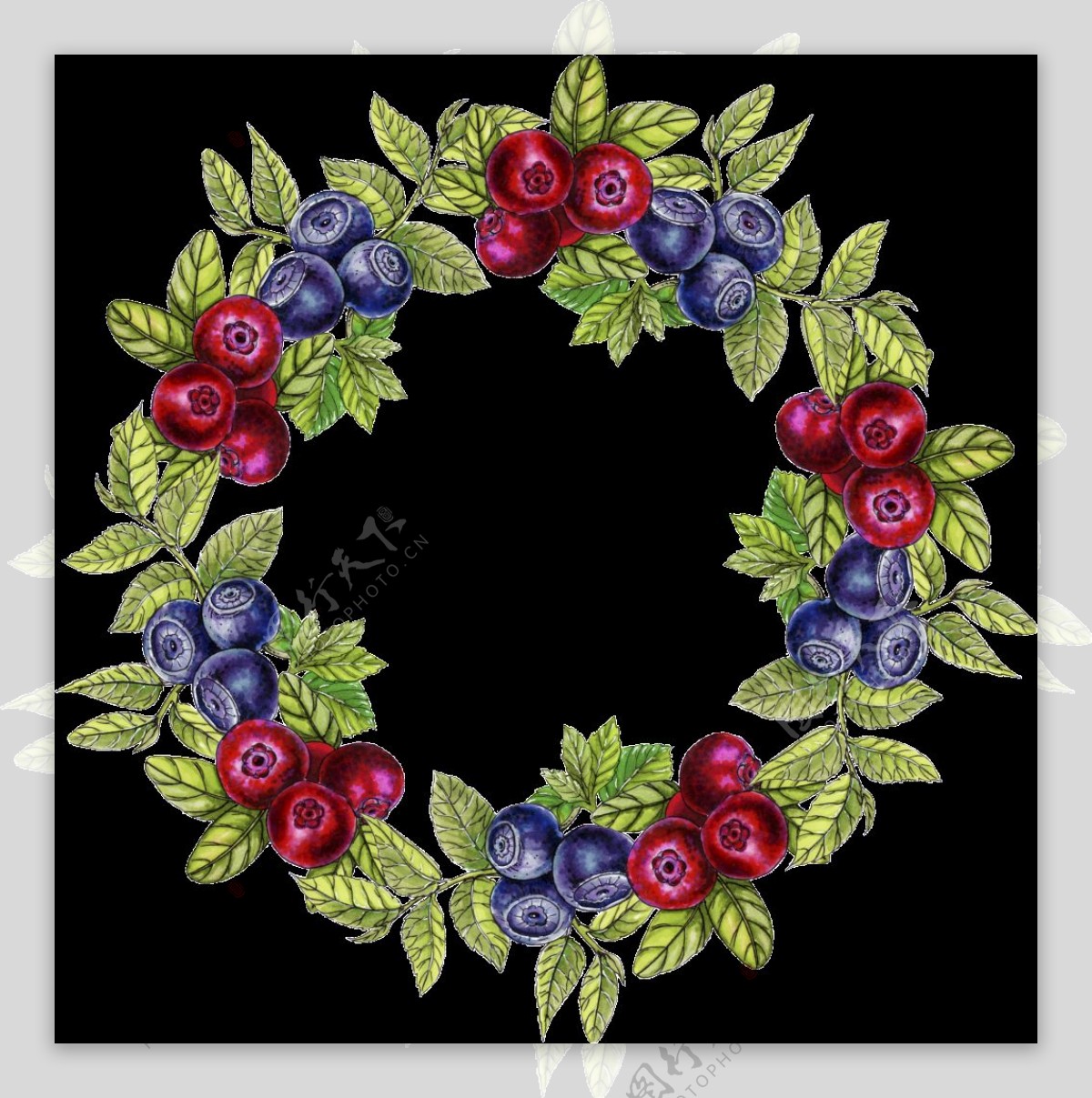 手绘蓝莓树叶花环透明装饰图案
