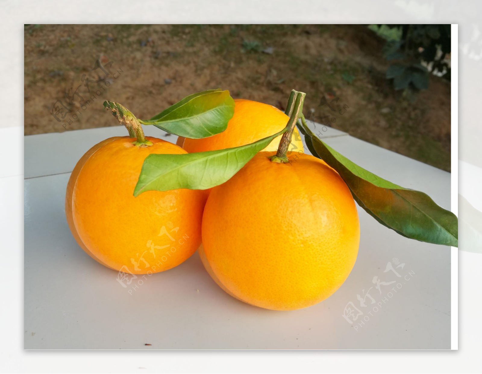 橙子实拍后抠图含分层源文件