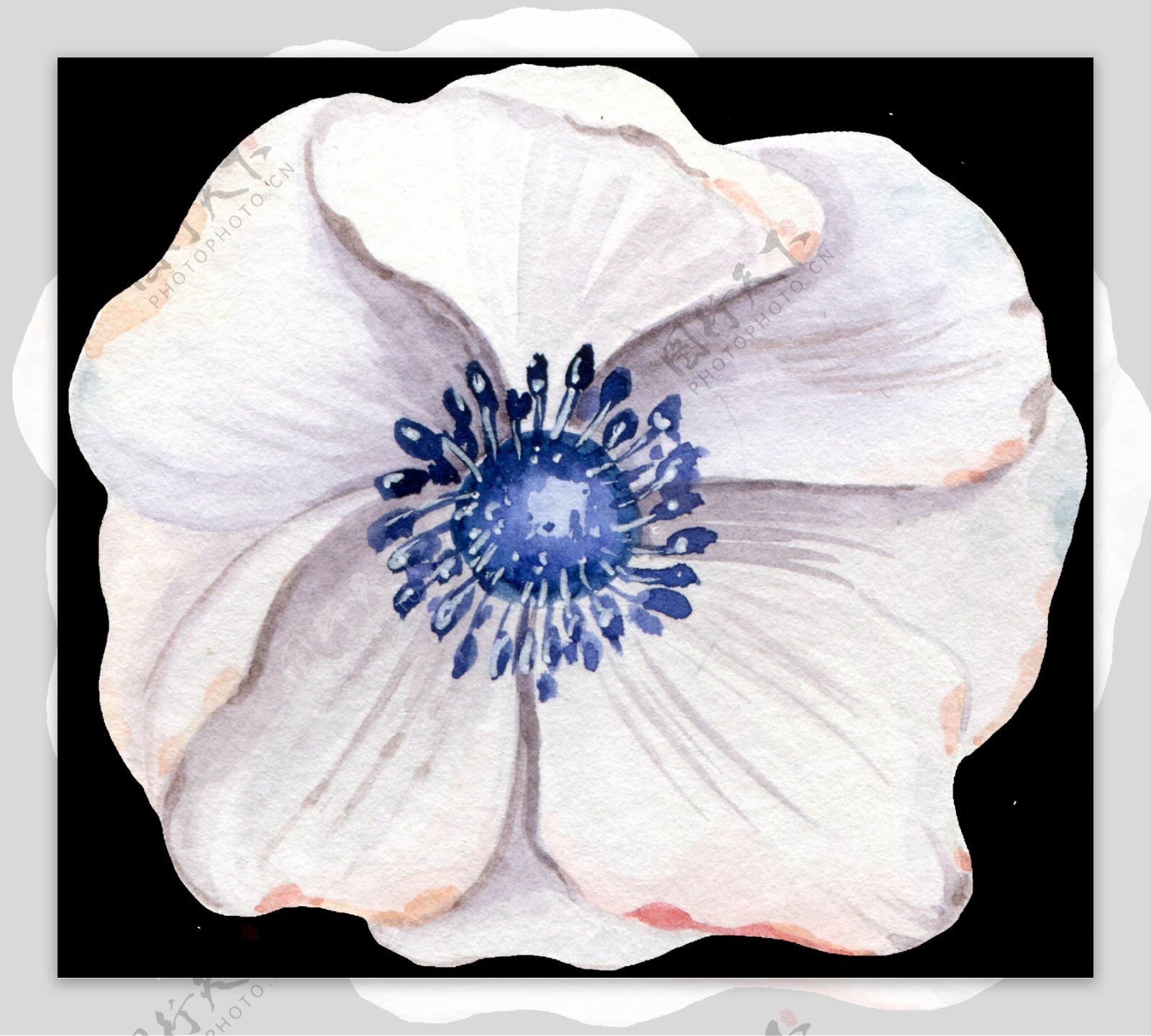 高雅白色花卉透明装饰图案