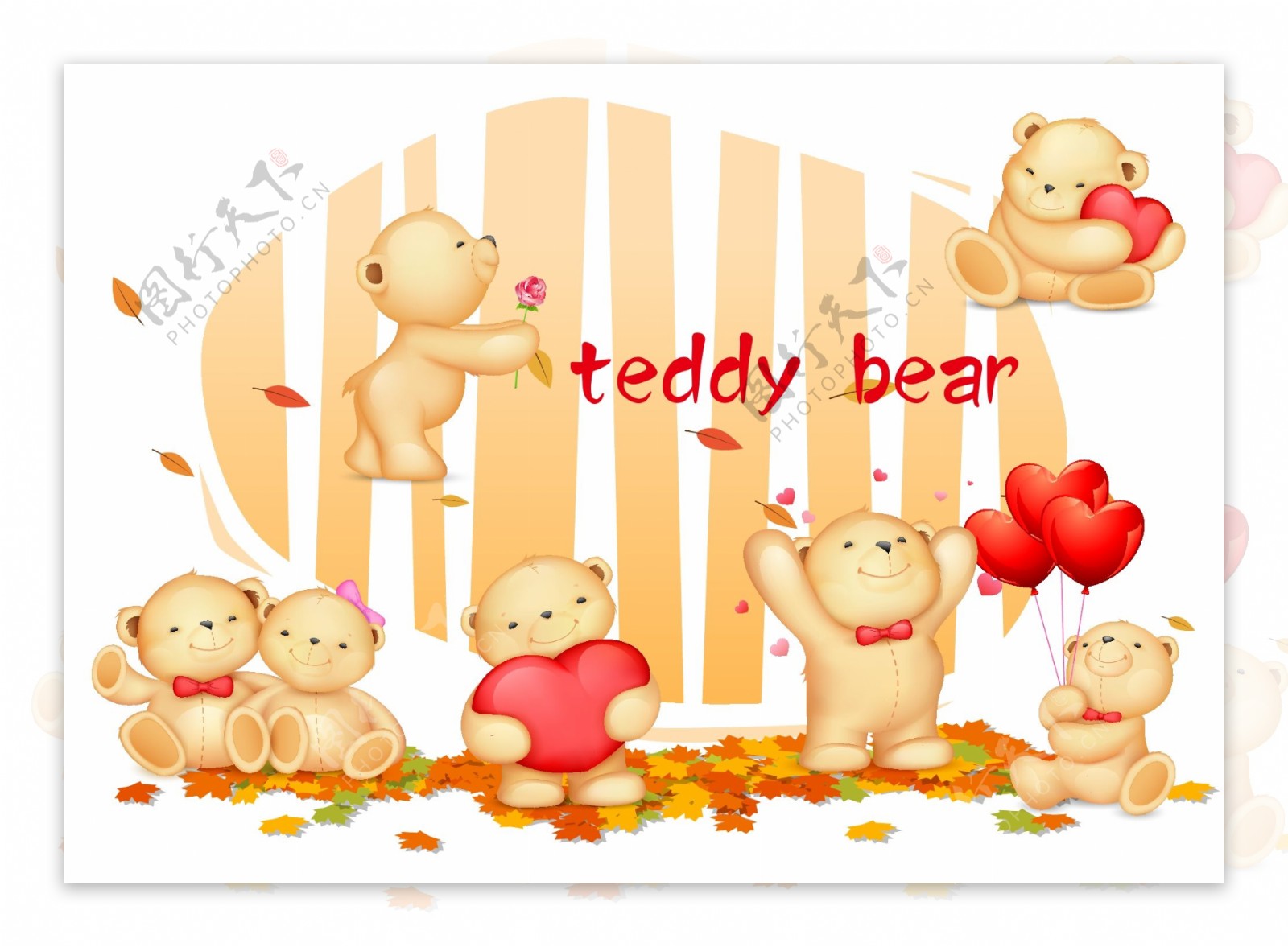 泰迪熊