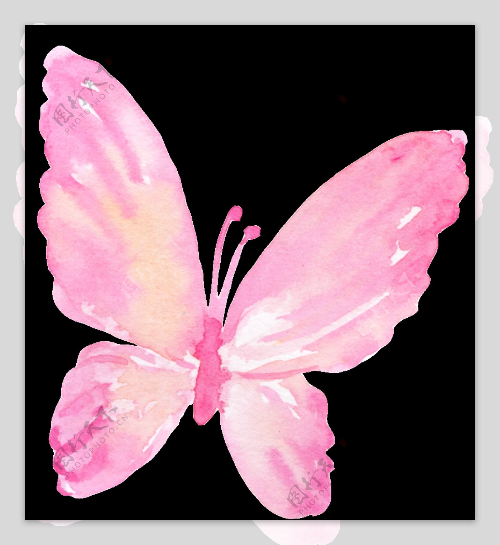 粉色渐变花卉卡通透明素材