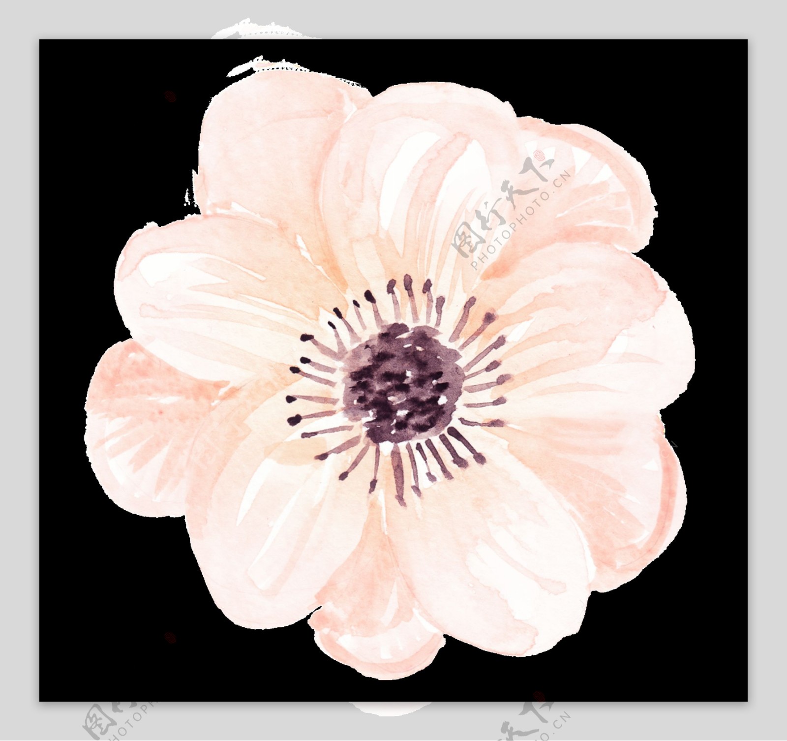 幽香花卉卡通透明素材