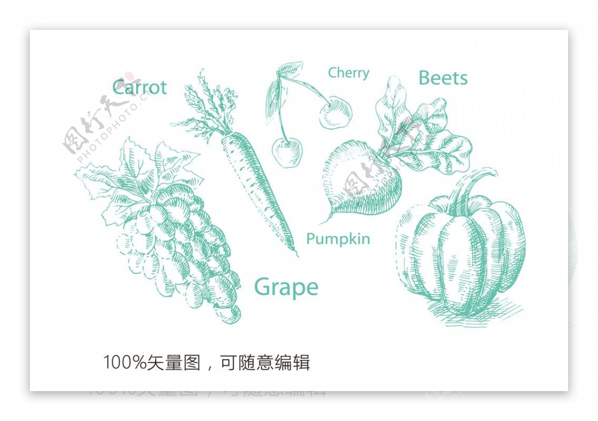 手绘水果蔬菜矢量