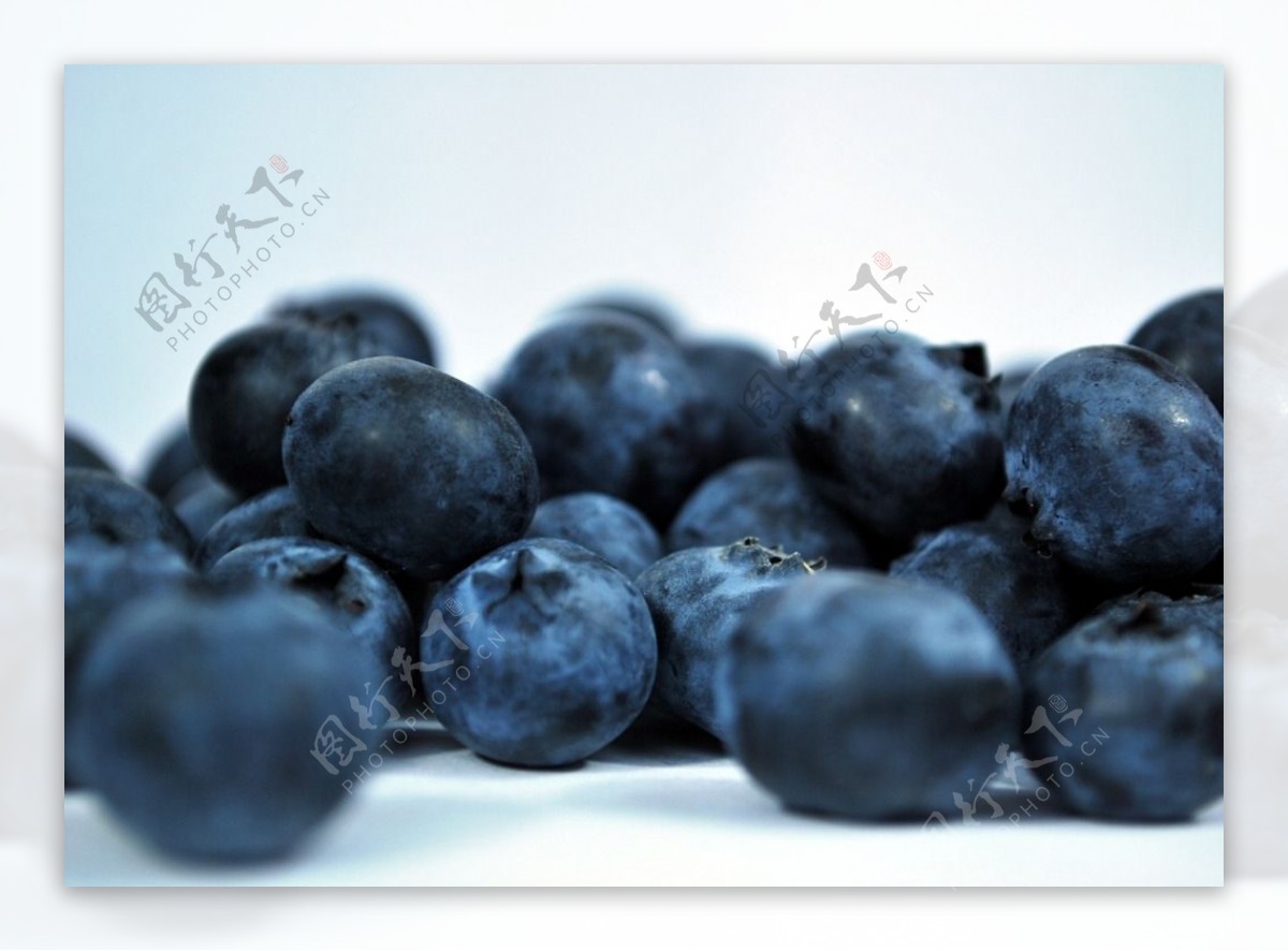 高清蓝莓摄影