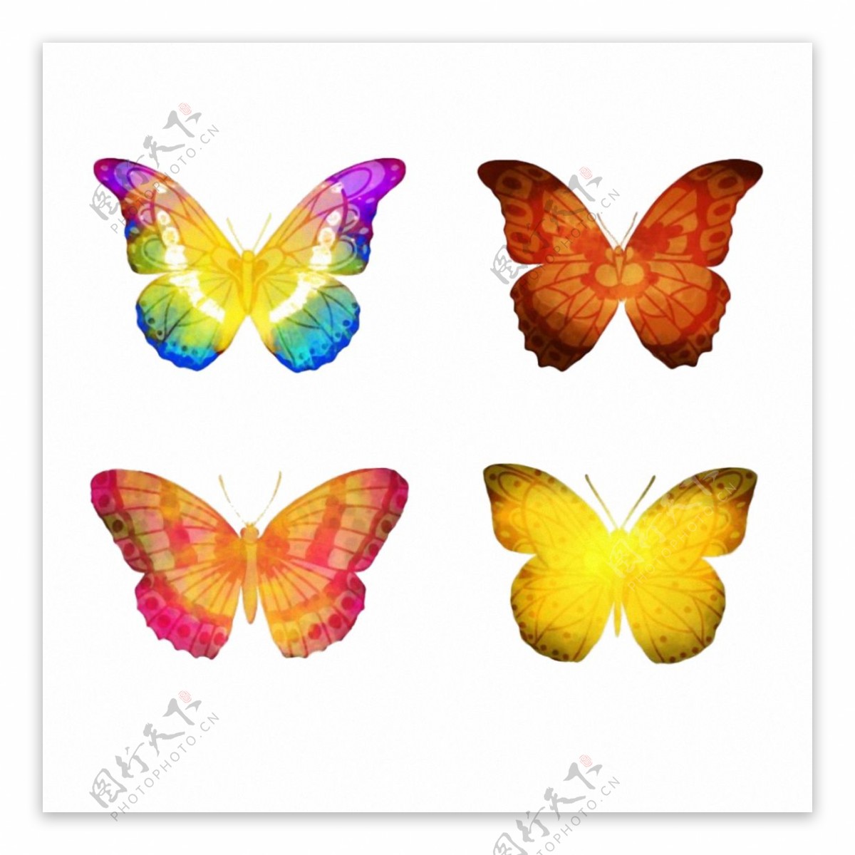 四种彩色蝴蝶免抠png透明素材