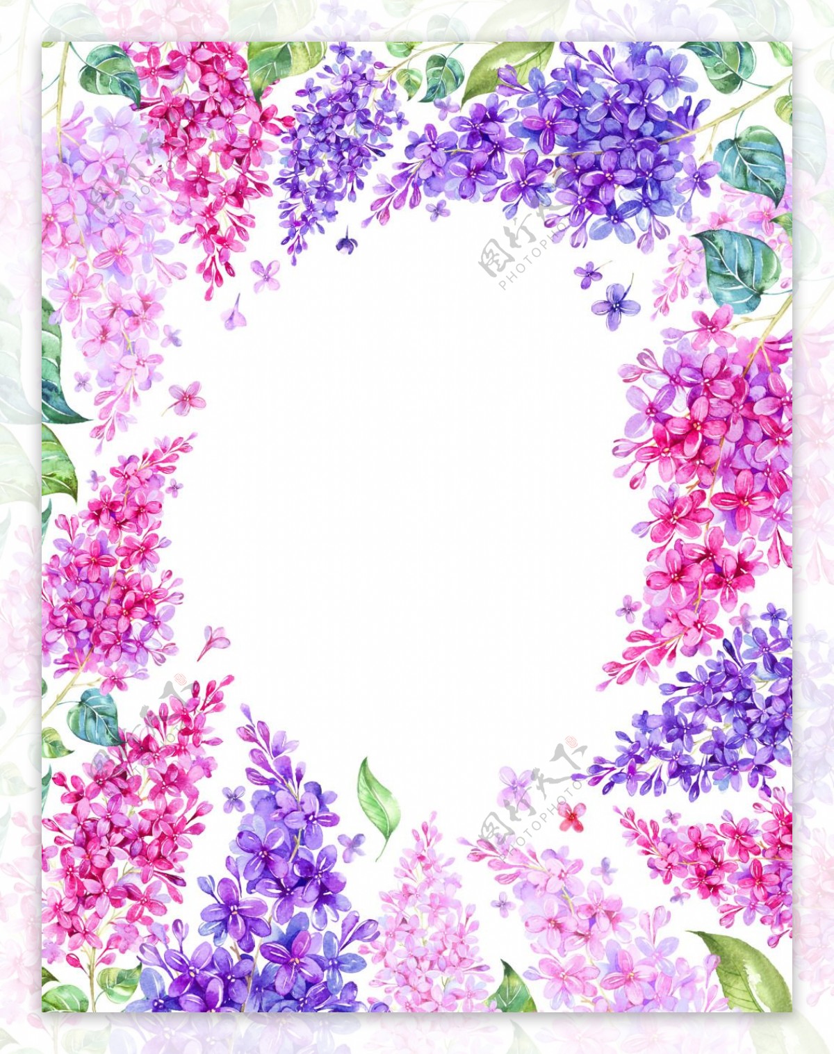 艺术水彩绘绣球花朵背景