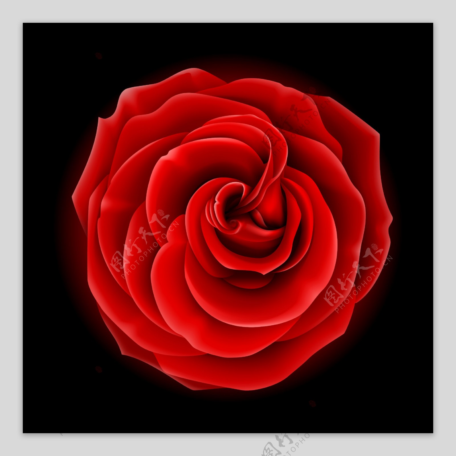 红色玫瑰装饰画素材