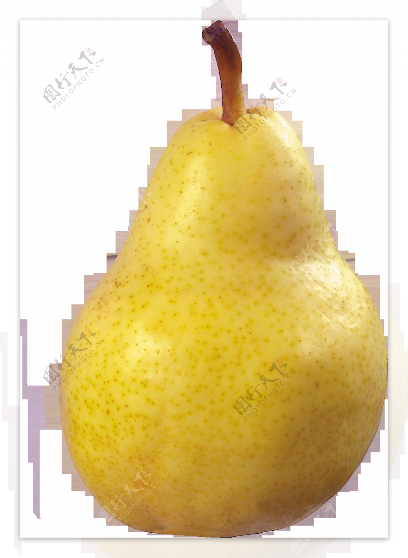 黄色的梨子免抠png透明图层素材