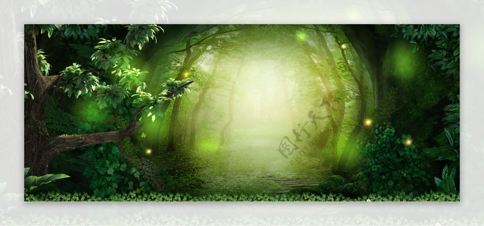 梦幻绿色森林背景