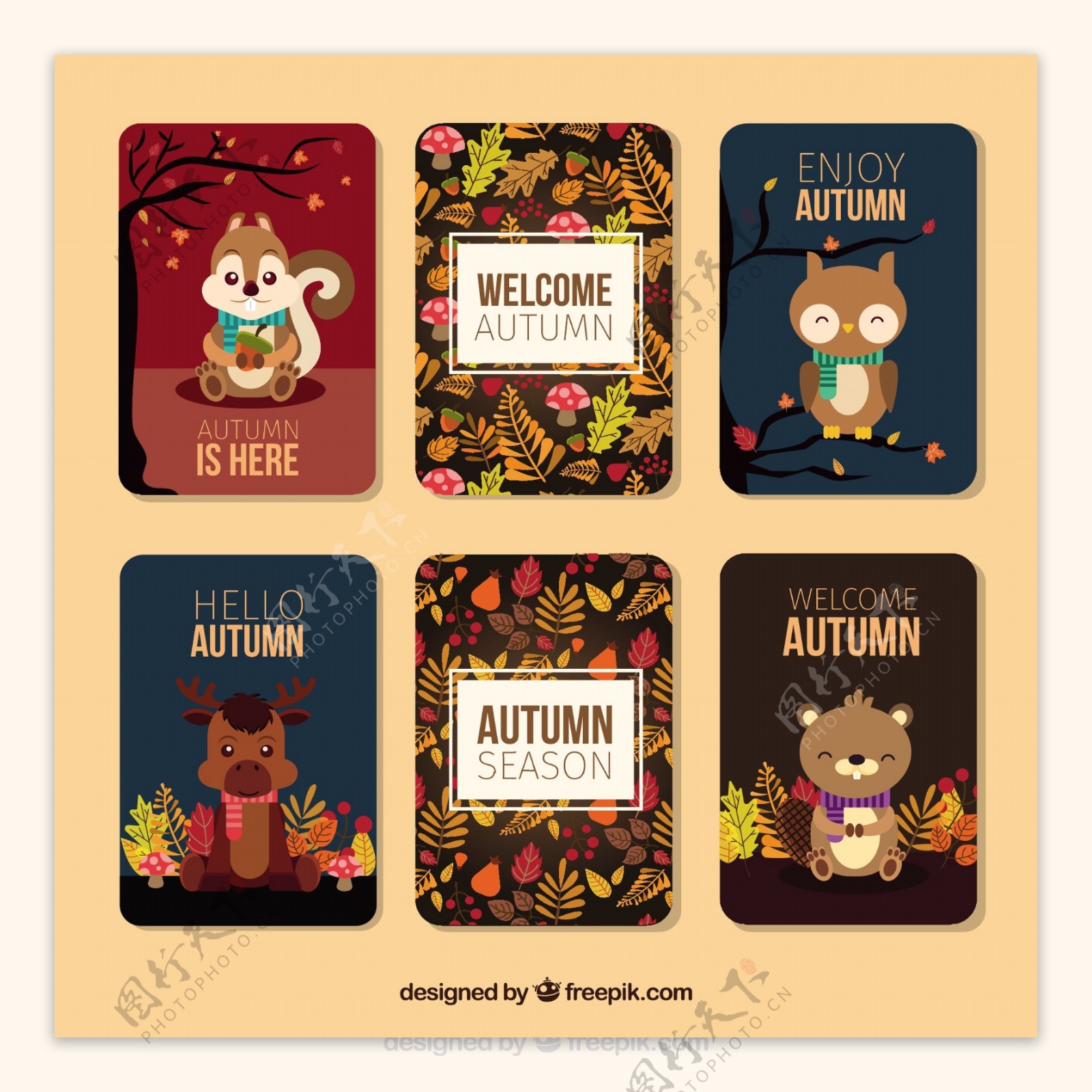 可爱的动物秋季卡片