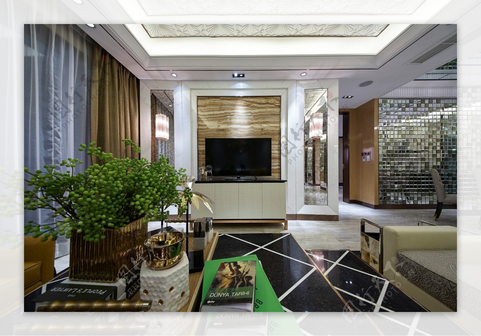 盆栽植物客厅现代欧式效果图