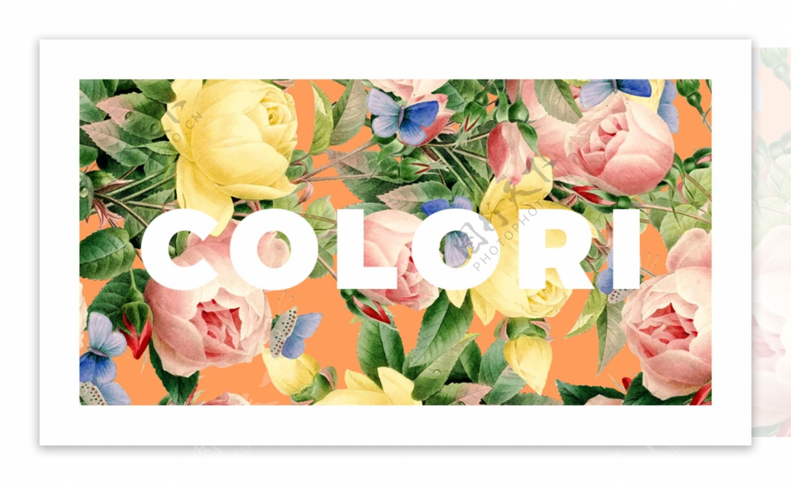 水彩花卉国外创意名片卡片设计
