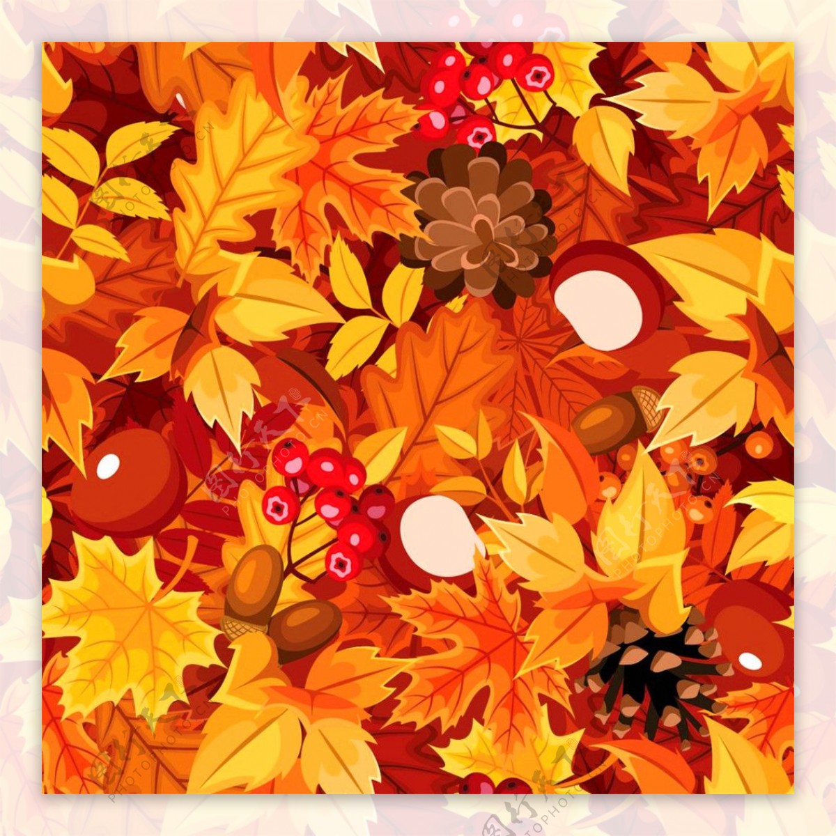 秋天树叶坚果背景图片