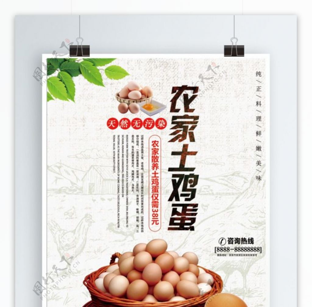 大气中国风农家鸡蛋海报