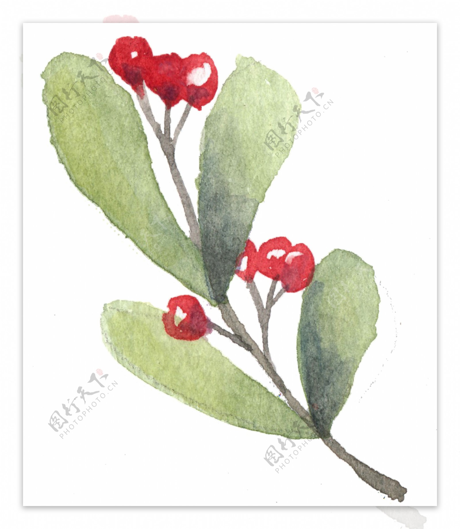 红色甜美果实植物卡通透明装饰素材