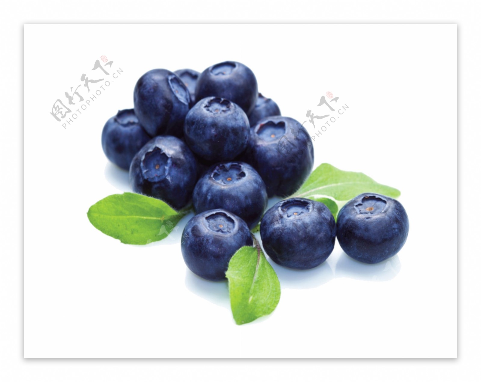 一堆大个的蓝莓免抠psd透明素材