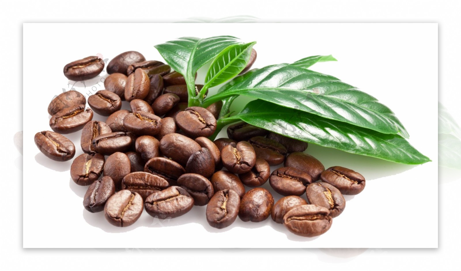 高清褐色咖啡豆免抠psd透明素材