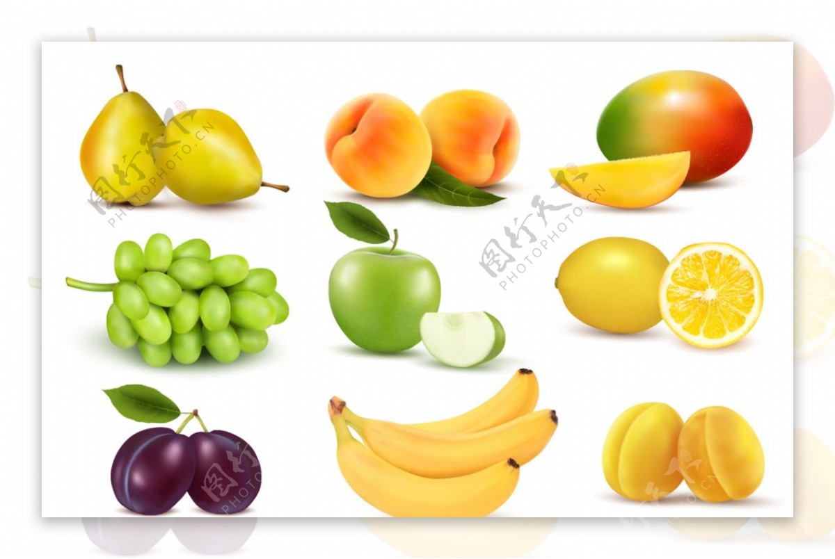 整齐排列的水果矢量素材