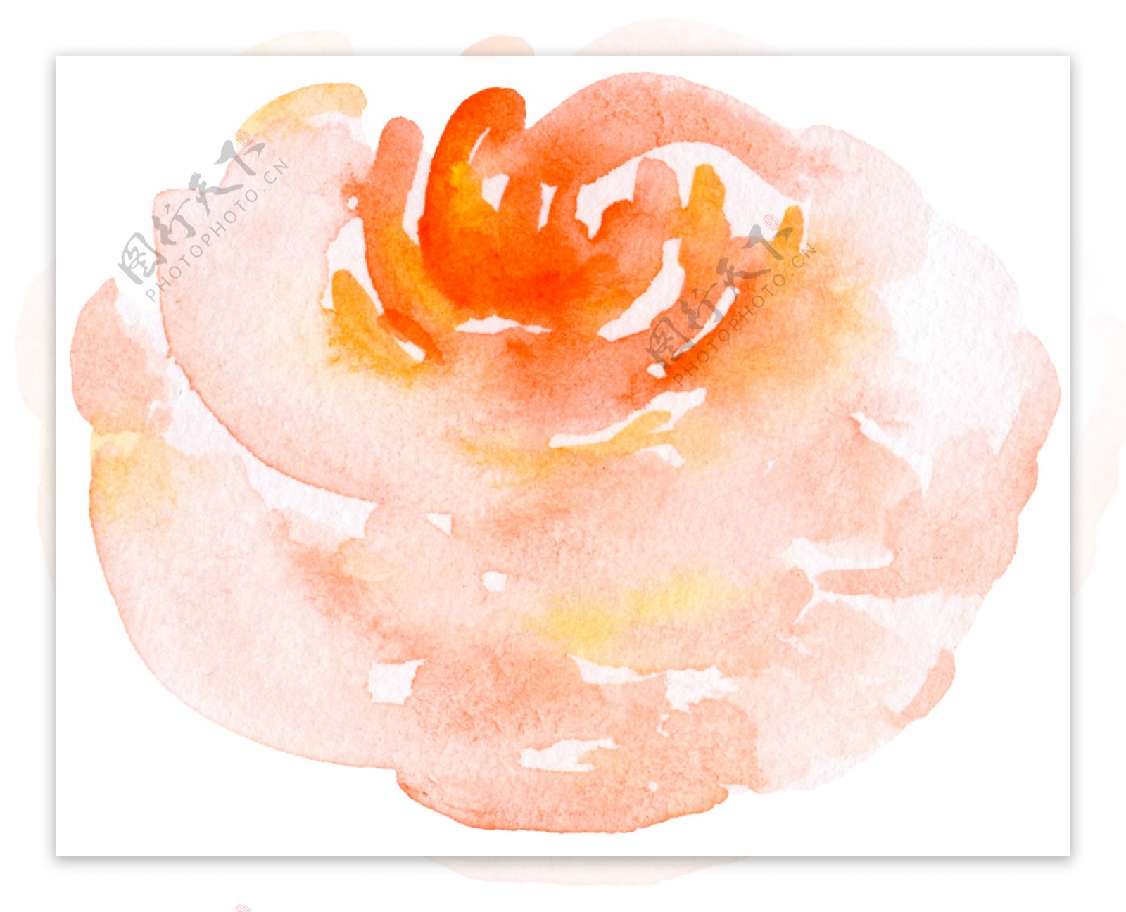 传统水墨画花卉透明素材