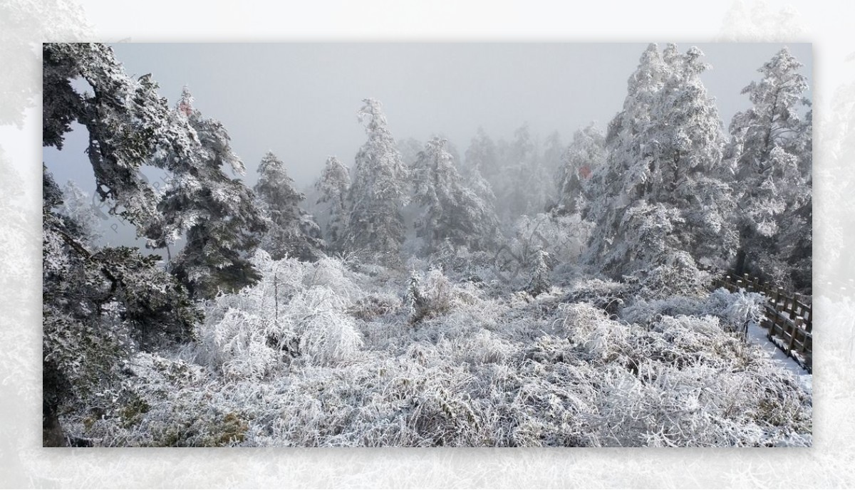 西岭雪山