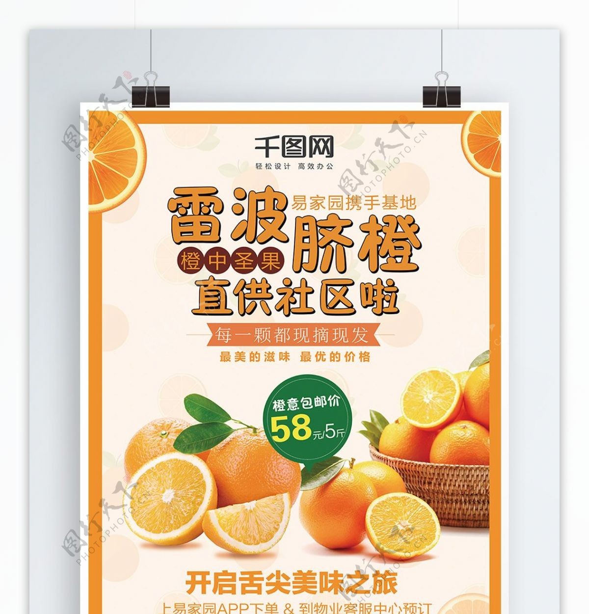 雷波脐橙直供社区脐橙促销海报