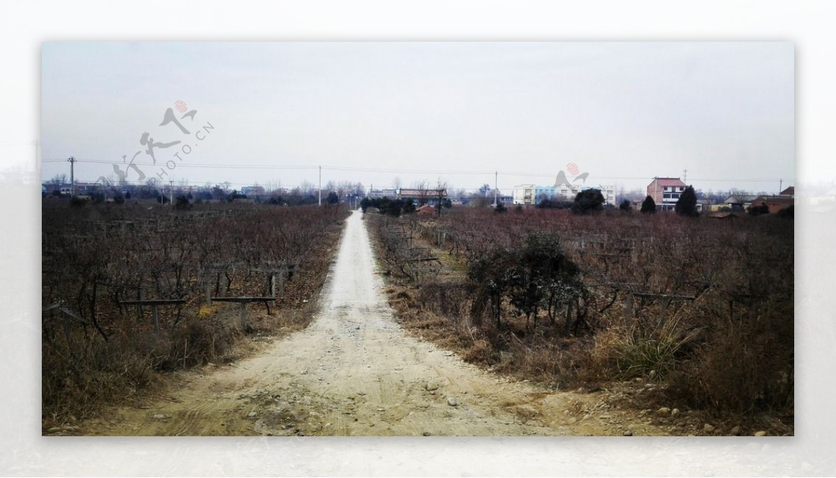 乡村道路风景