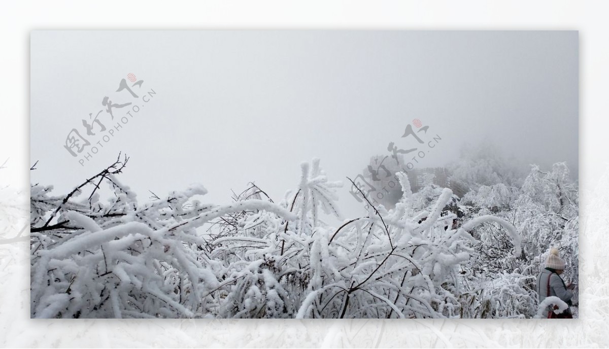 西岭雪山