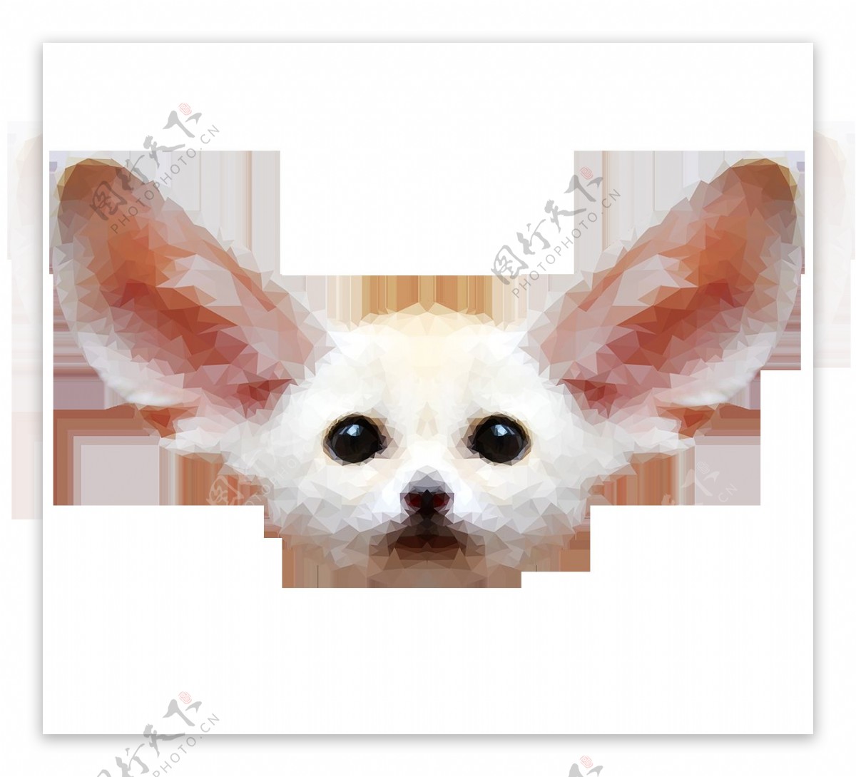 白色耳廓狐头像免抠png透明素材