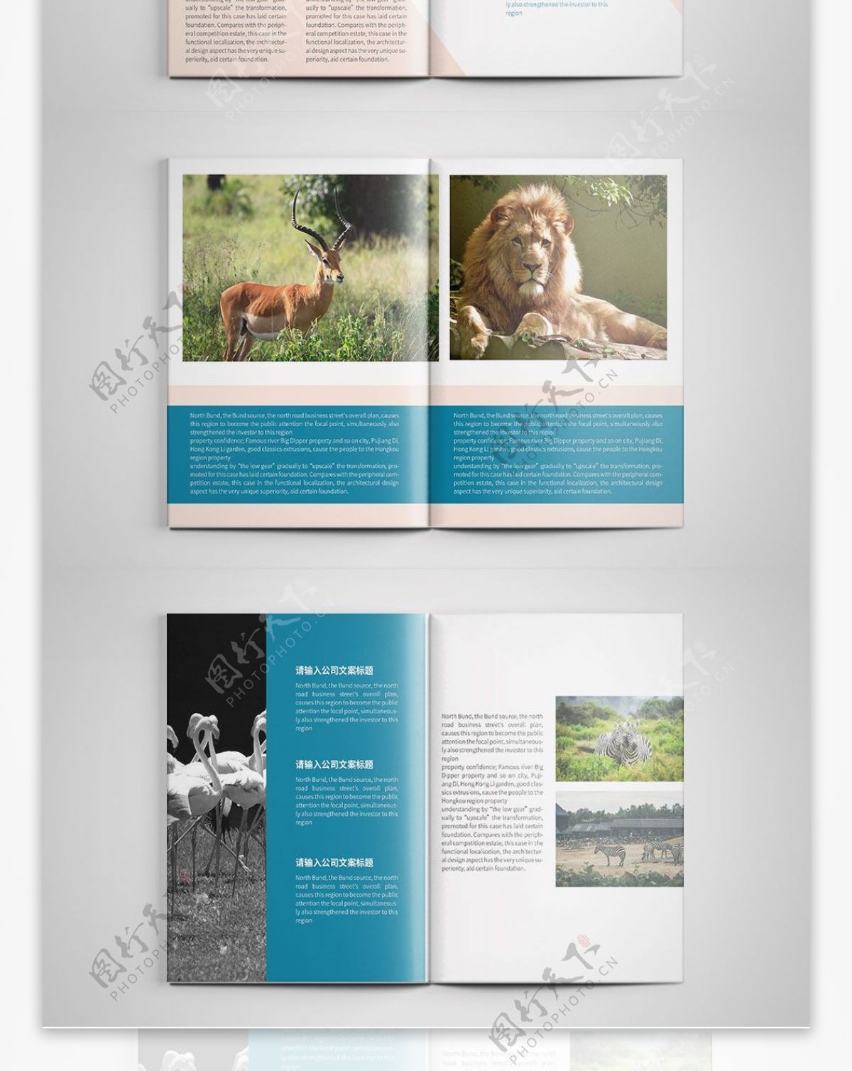 创意动物园宣传画册设计PSD模板