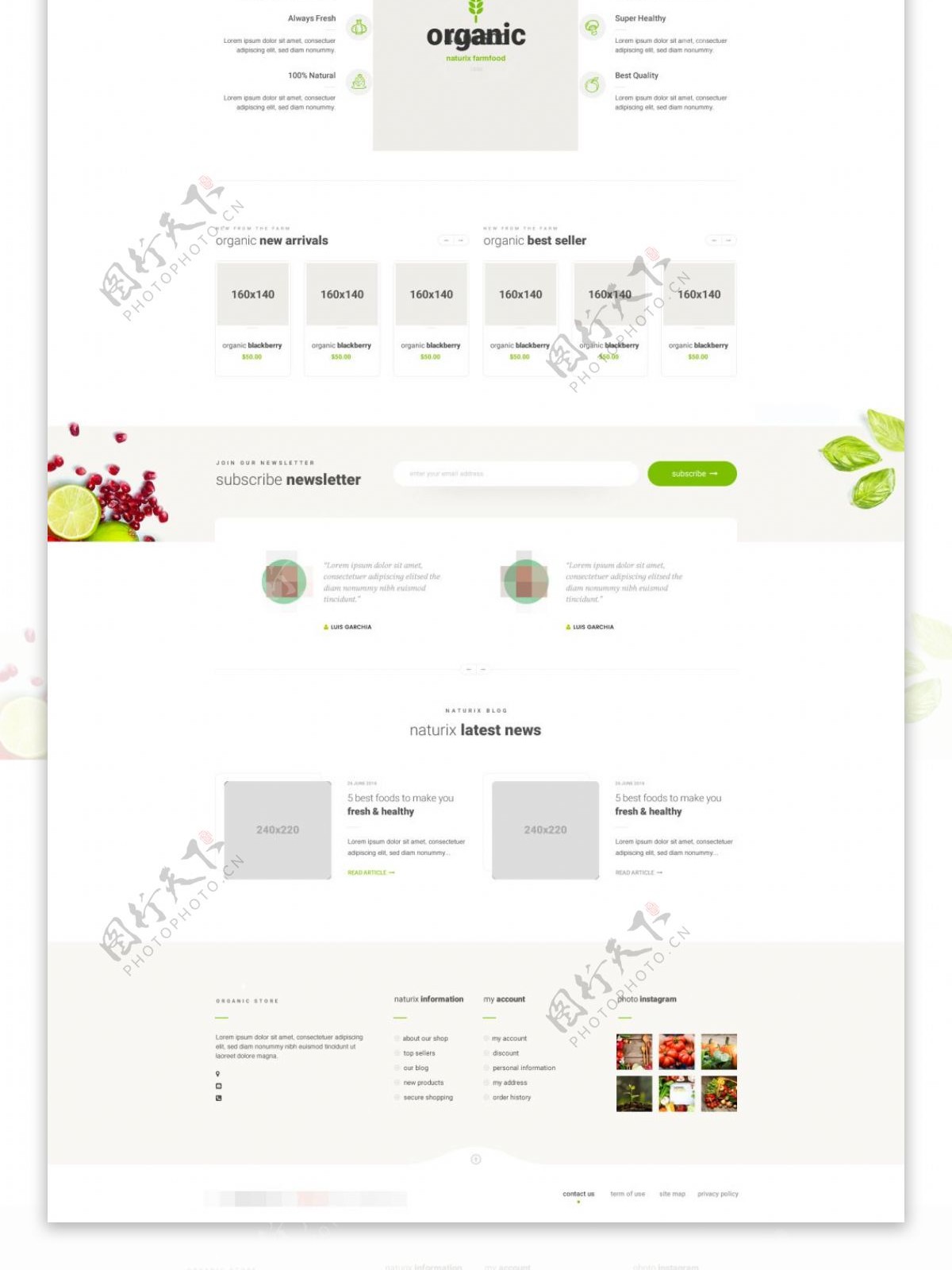 天然有机食品网站主页页面psd模板