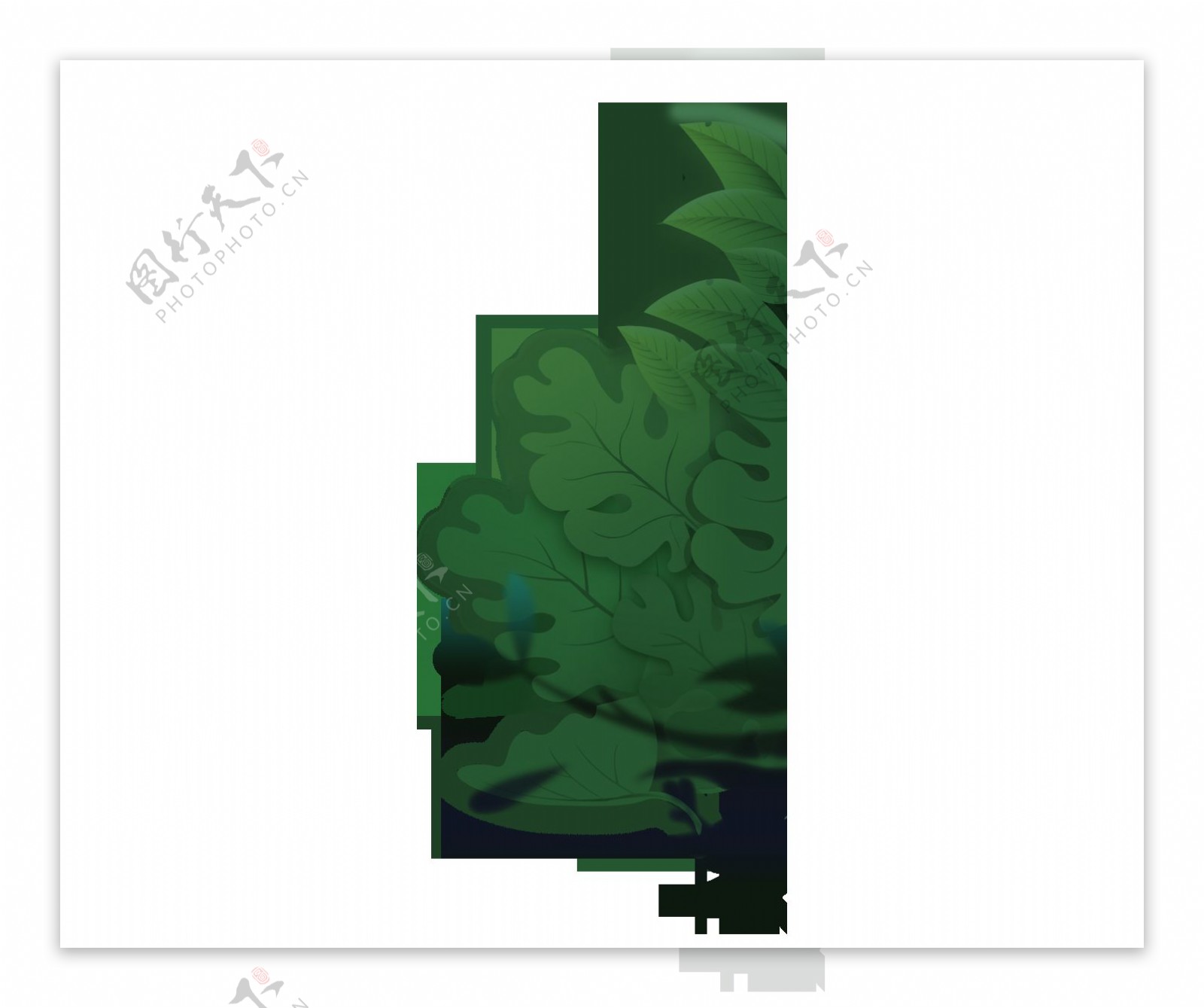 卡通清新绿色树叶装饰png元素