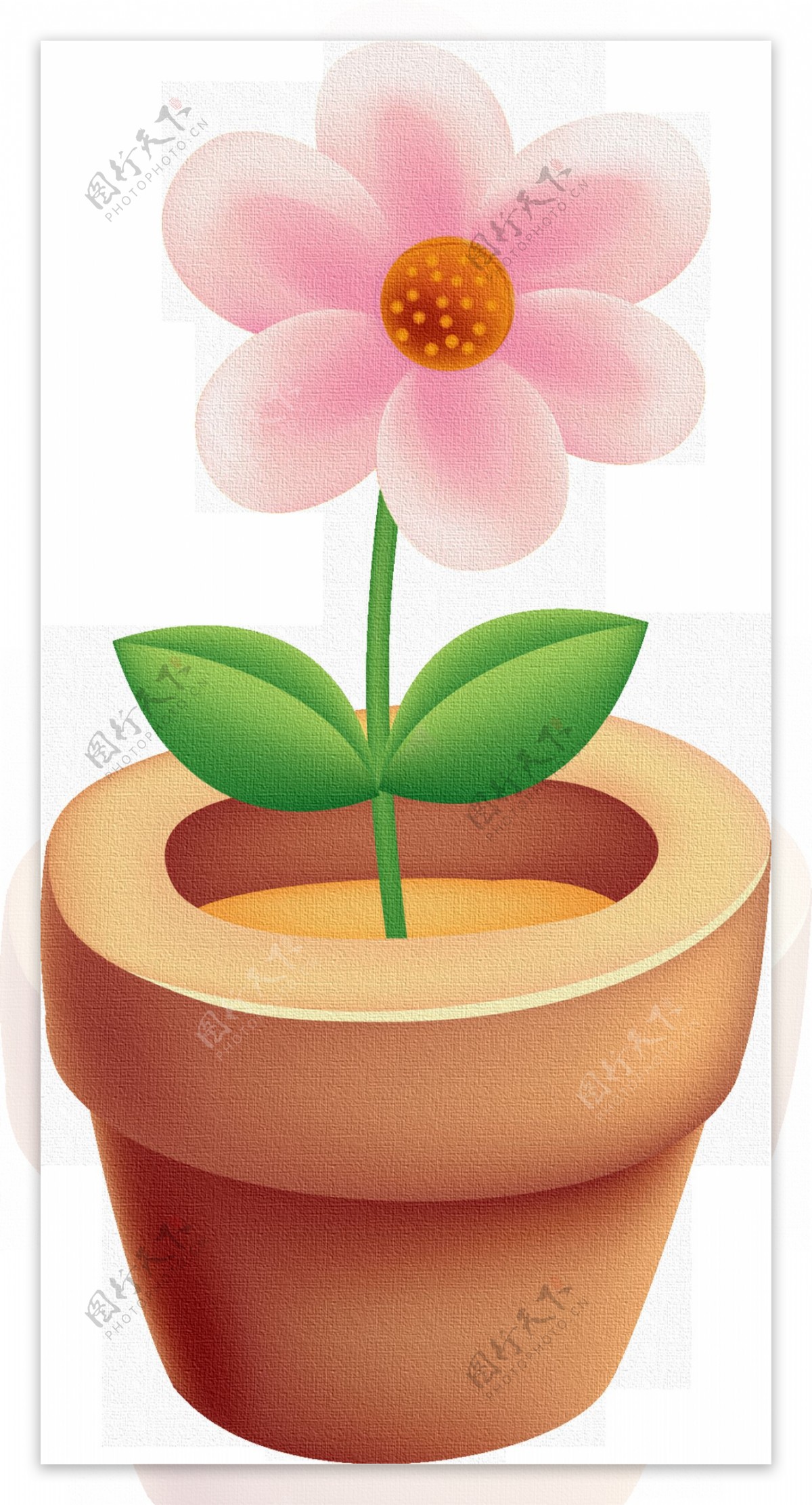 手绘一盆一朵花的盆栽透明素材