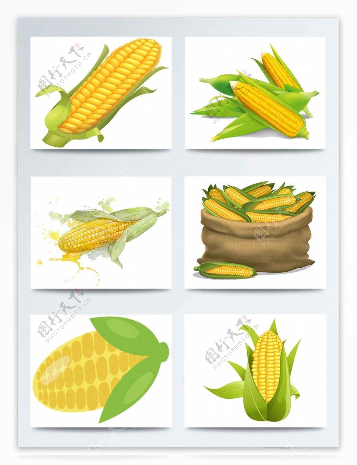 一组手绘玉米图案合集