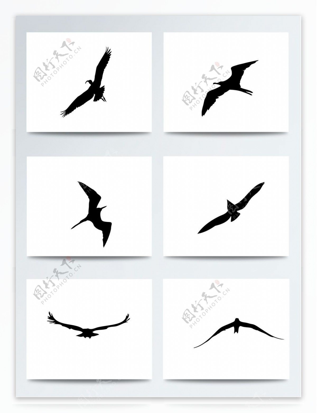 湿地日卡通飞着的鸟PNG元素