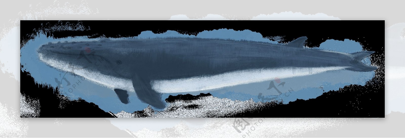 蓝色大鲸鱼png元素