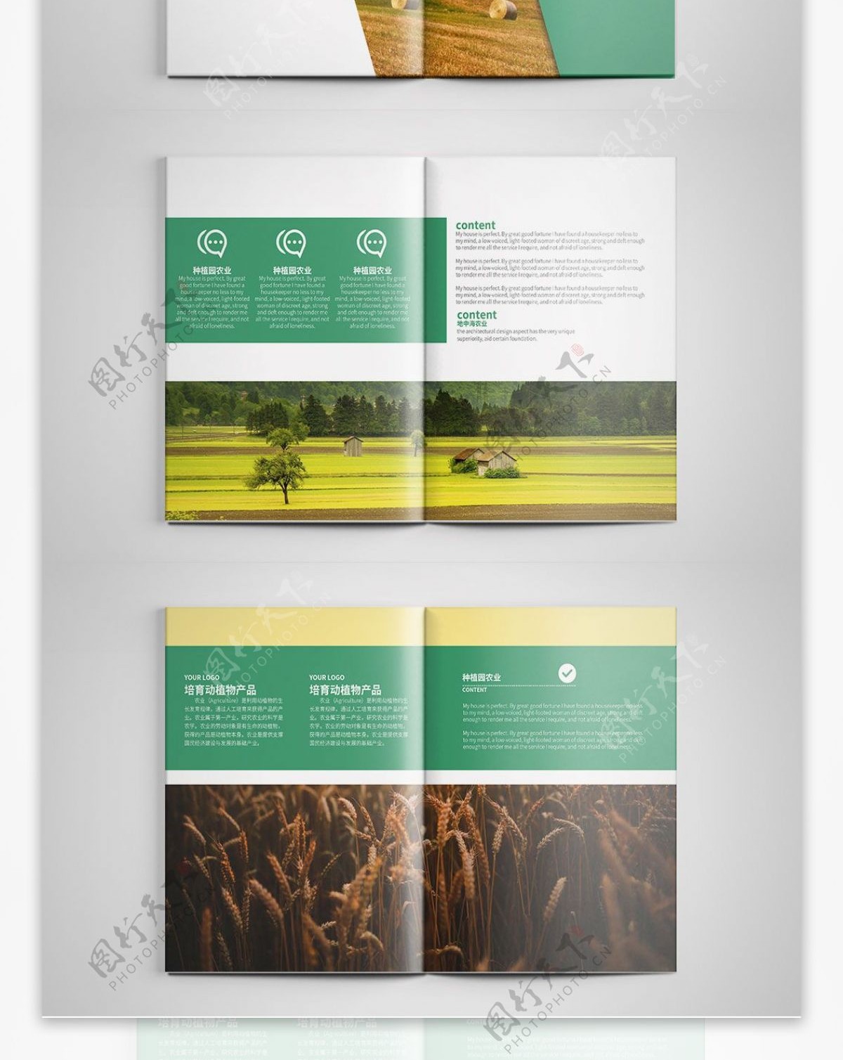 创意绿色农业画册设计PSD模板