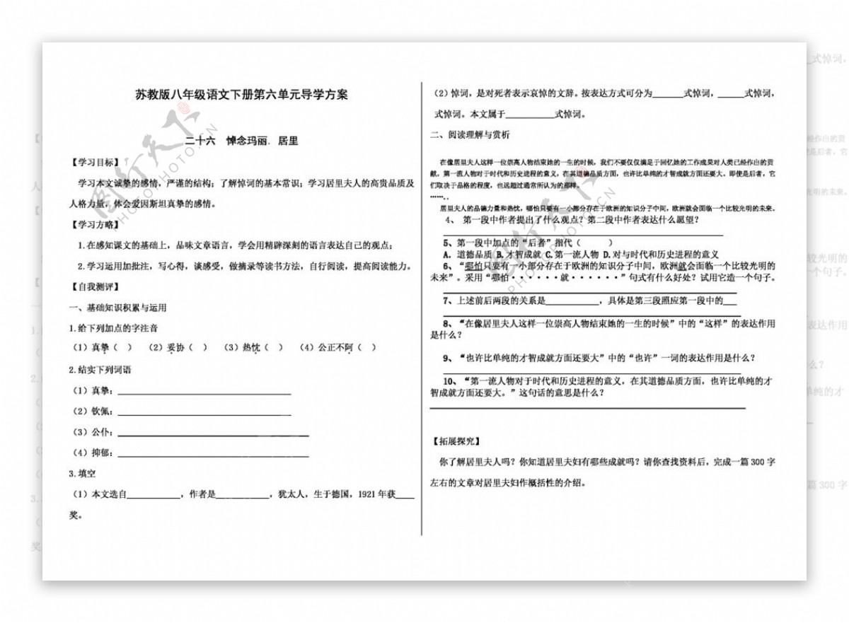 语文苏教版八年级语文下册第六单元导学方案