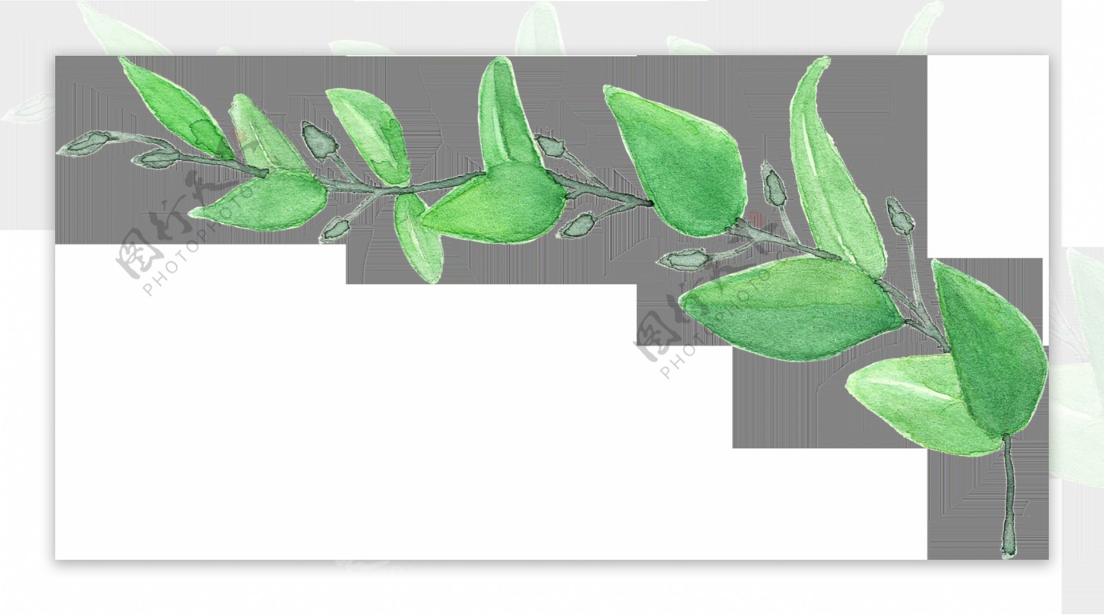手绘一枝绿色花草透明素材
