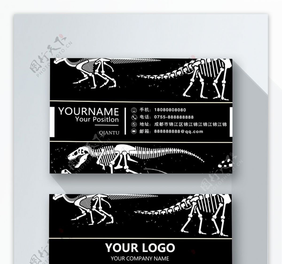 黑色化石恐龙商务名片设计
