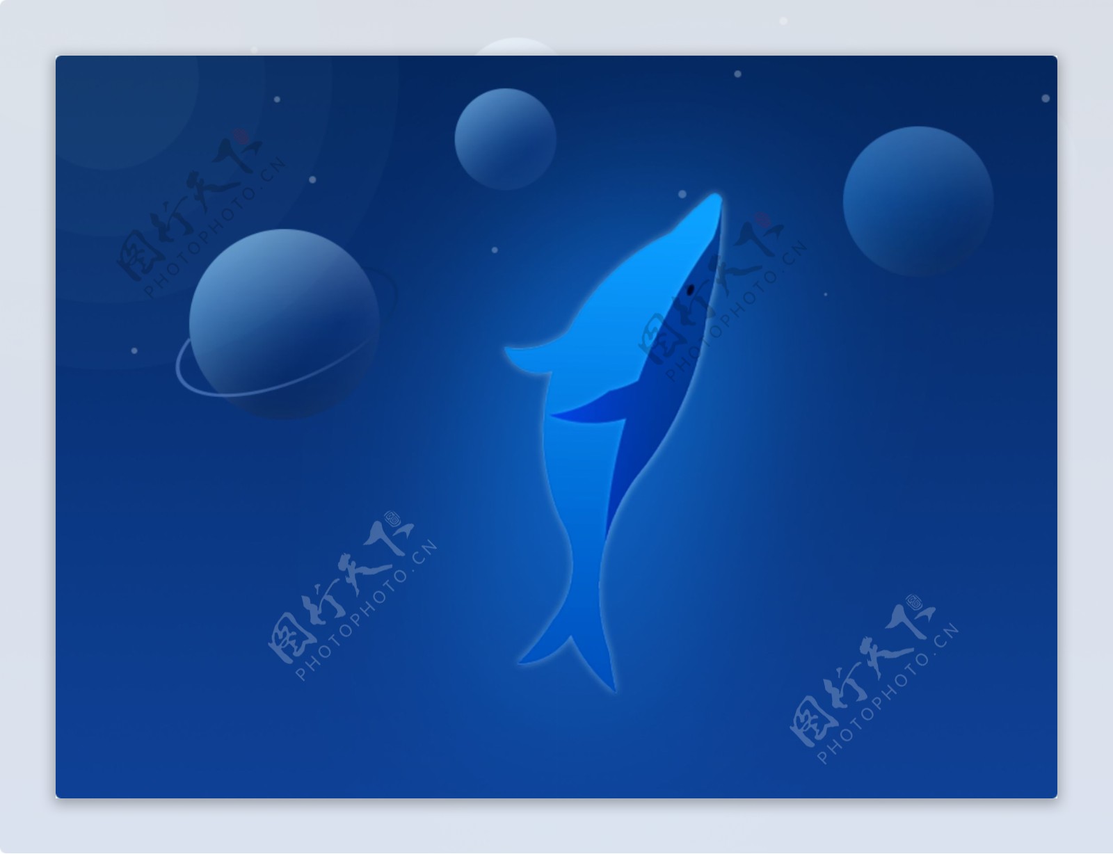 星空海豚卡通装饰图案